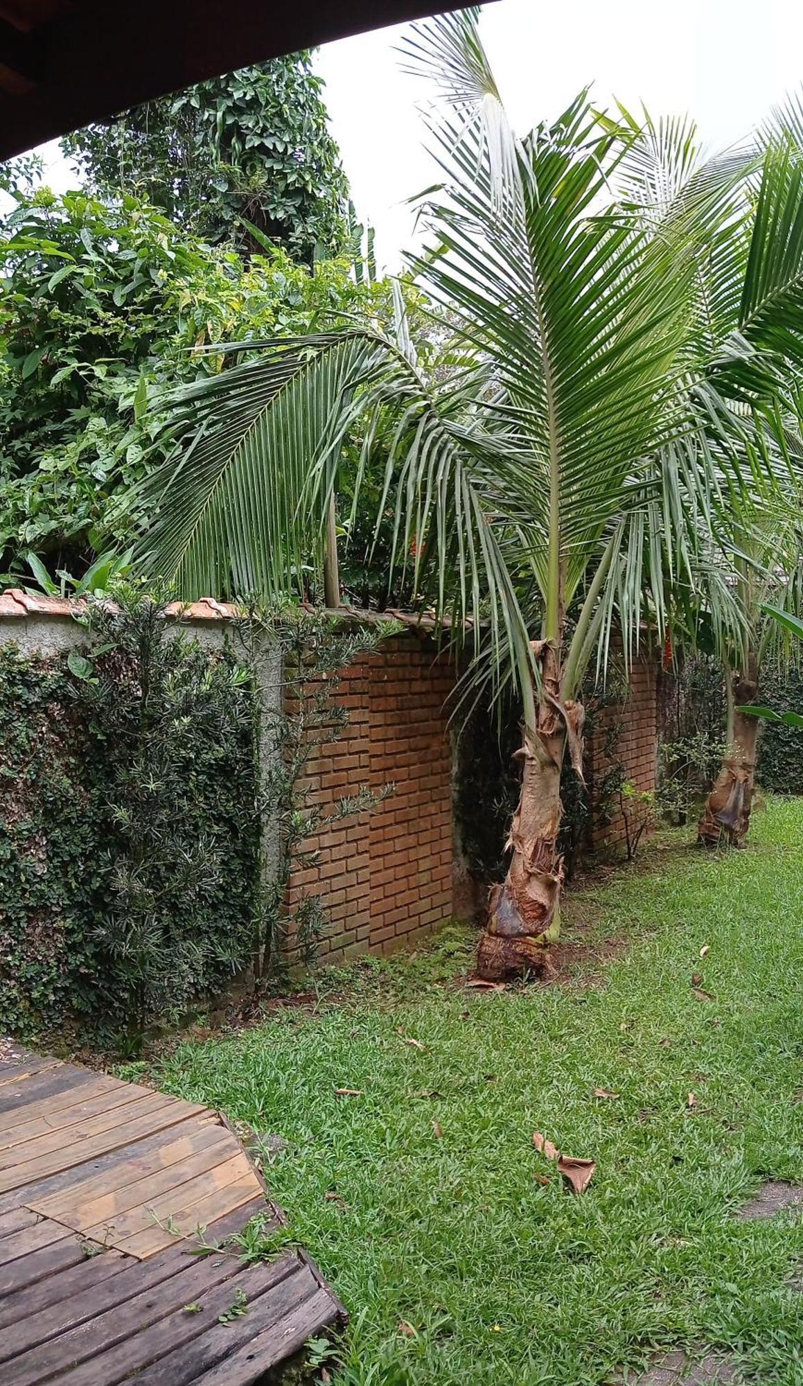 Casa Dos Coqueiros Praia De Camburi, Condominio كامبوري المظهر الخارجي الصورة
